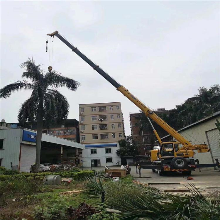 钦北吊车吊大树几种方法